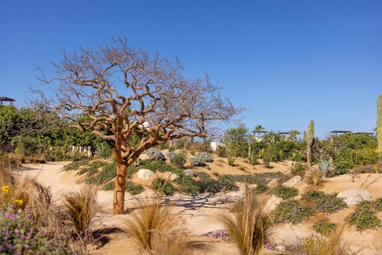 Kimpton Mas Olas Resort And Spa Todos Santos Exterior photo